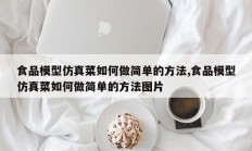 食品模型仿真菜如何做简单的方法,食品模型仿真菜如何做简单的方法图片