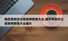 模型菜制作过程视频教程大全,模型菜制作过程视频教程大全图片