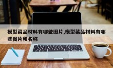模型菜品材料有哪些图片,模型菜品材料有哪些图片和名称