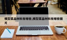 模型菜品材料有哪些,模型菜品材料有哪些图片