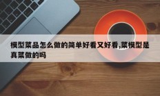模型菜品怎么做的简单好看又好看,菜模型是真菜做的吗