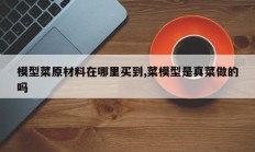 模型菜原材料在哪里买到,菜模型是真菜做的吗