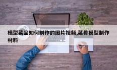模型菜品如何制作的图片视频,菜肴模型制作材料