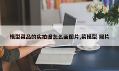 模型菜品的实拍图怎么画图片,菜模型 照片