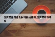 仿真菜是用什么材料做的视频,仿真菜有市场吗