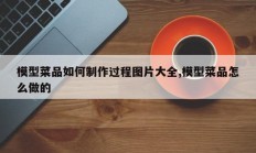 模型菜品如何制作过程图片大全,模型菜品怎么做的