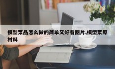 模型菜品怎么做的简单又好看图片,模型菜原材料