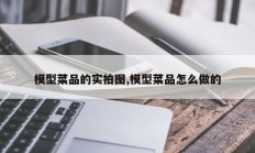 模型菜品的实拍图,模型菜品怎么做的