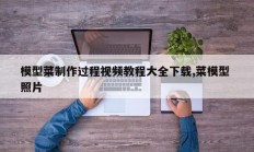 模型菜制作过程视频教程大全下载,菜模型 照片