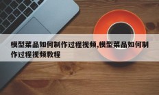 模型菜品如何制作过程视频,模型菜品如何制作过程视频教程