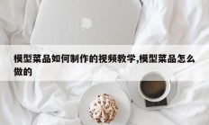 模型菜品如何制作的视频教学,模型菜品怎么做的