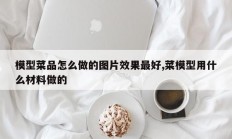模型菜品怎么做的图片效果最好,菜模型用什么材料做的