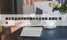 模型菜品如何制作图片大全视频,菜模型 照片