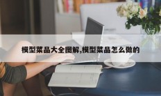 模型菜品大全图解,模型菜品怎么做的