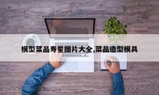 模型菜品寿星图片大全,菜品造型模具
