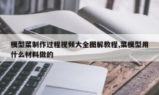 模型菜制作过程视频大全图解教程,菜模型用什么材料做的