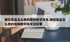 模型菜品怎么做的视频教学简单,模型菜品怎么做的视频教学简单又好看