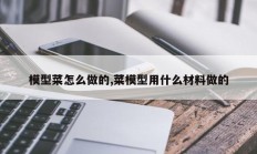 模型菜怎么做的,菜模型用什么材料做的