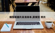 模型菜图片高清简单,菜模型 照片