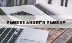 食品模型有什么用途和作用,食品模型图片