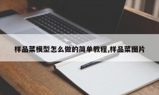 样品菜模型怎么做的简单教程,样品菜图片