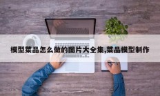 模型菜品怎么做的图片大全集,菜品模型制作