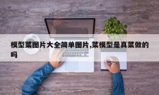 模型菜图片大全简单图片,菜模型是真菜做的吗