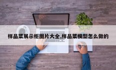 样品菜展示柜图片大全,样品菜模型怎么做的