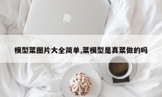 模型菜图片大全简单,菜模型是真菜做的吗