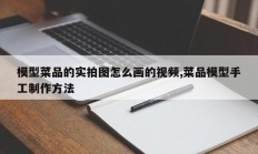 模型菜品的实拍图怎么画的视频,菜品模型手工制作方法