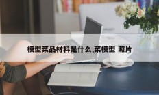模型菜品材料是什么,菜模型 照片