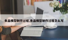 食品模型制作过程,食品模型制作过程怎么写