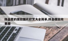 样品菜的摆放图片欣赏大全简单,样品摆放效果图