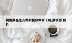 模型菜品怎么做的视频教学下载,菜模型 照片