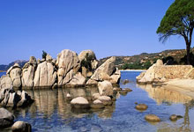 食品模型仿真菜如何做的,仿真食品模型定做