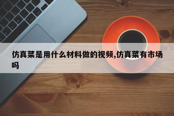 仿真菜是用什么材料做的视频,仿真菜有市场吗