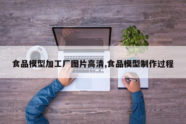 食品模型加工厂图片高清,食品模型制作过程