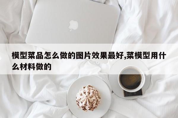 模型菜品怎么做的图片效果最好,菜模型用什么材料做的