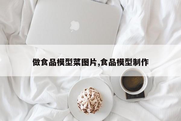做食品模型菜图片,食品模型制作
