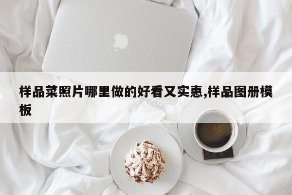 样品菜照片哪里做的好看又实惠,样品图册模板