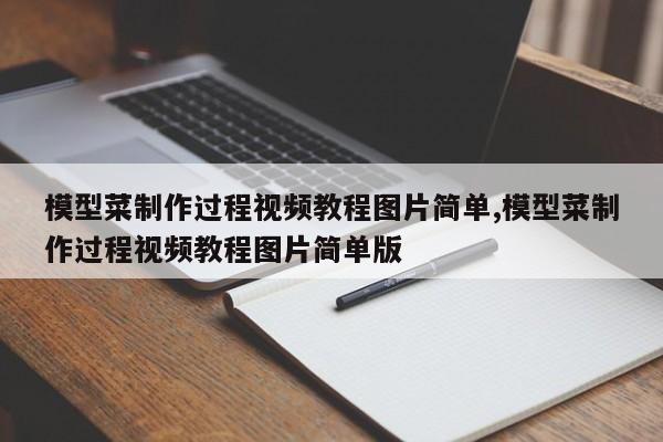 模型菜制作过程视频教程图片简单,模型菜制作过程视频教程图片简单版