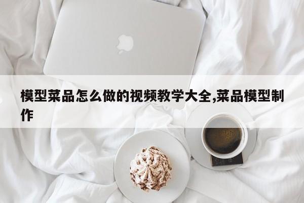 模型菜品怎么做的视频教学大全,菜品模型制作