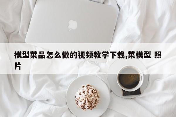 模型菜品怎么做的视频教学下载,菜模型 照片