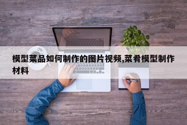 模型菜品如何制作的图片视频,菜肴模型制作材料