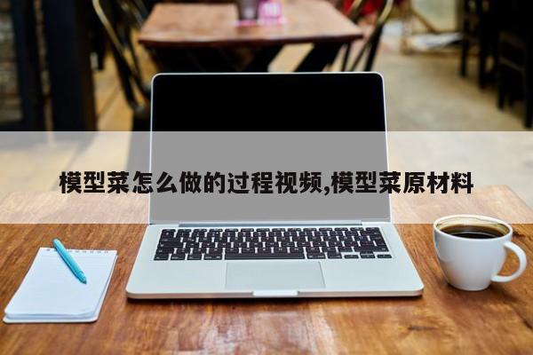模型菜怎么做的过程视频,模型菜原材料