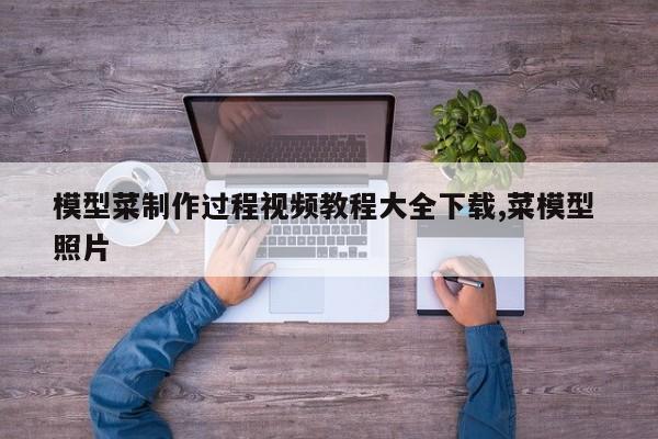 模型菜制作过程视频教程大全下载,菜模型 照片