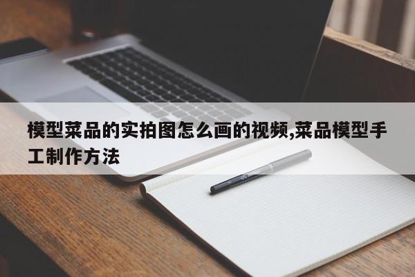 模型菜品的实拍图怎么画的视频,菜品模型手工制作方法