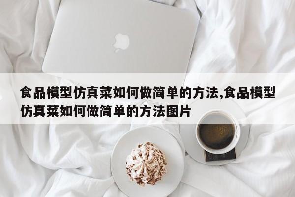 食品模型仿真菜如何做简单的方法,食品模型仿真菜如何做简单的方法图片