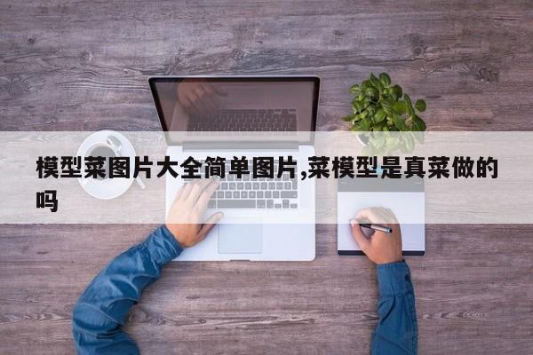 模型菜图片大全简单图片,菜模型是真菜做的吗