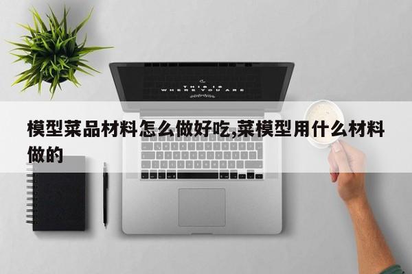 模型菜品材料怎么做好吃,菜模型用什么材料做的